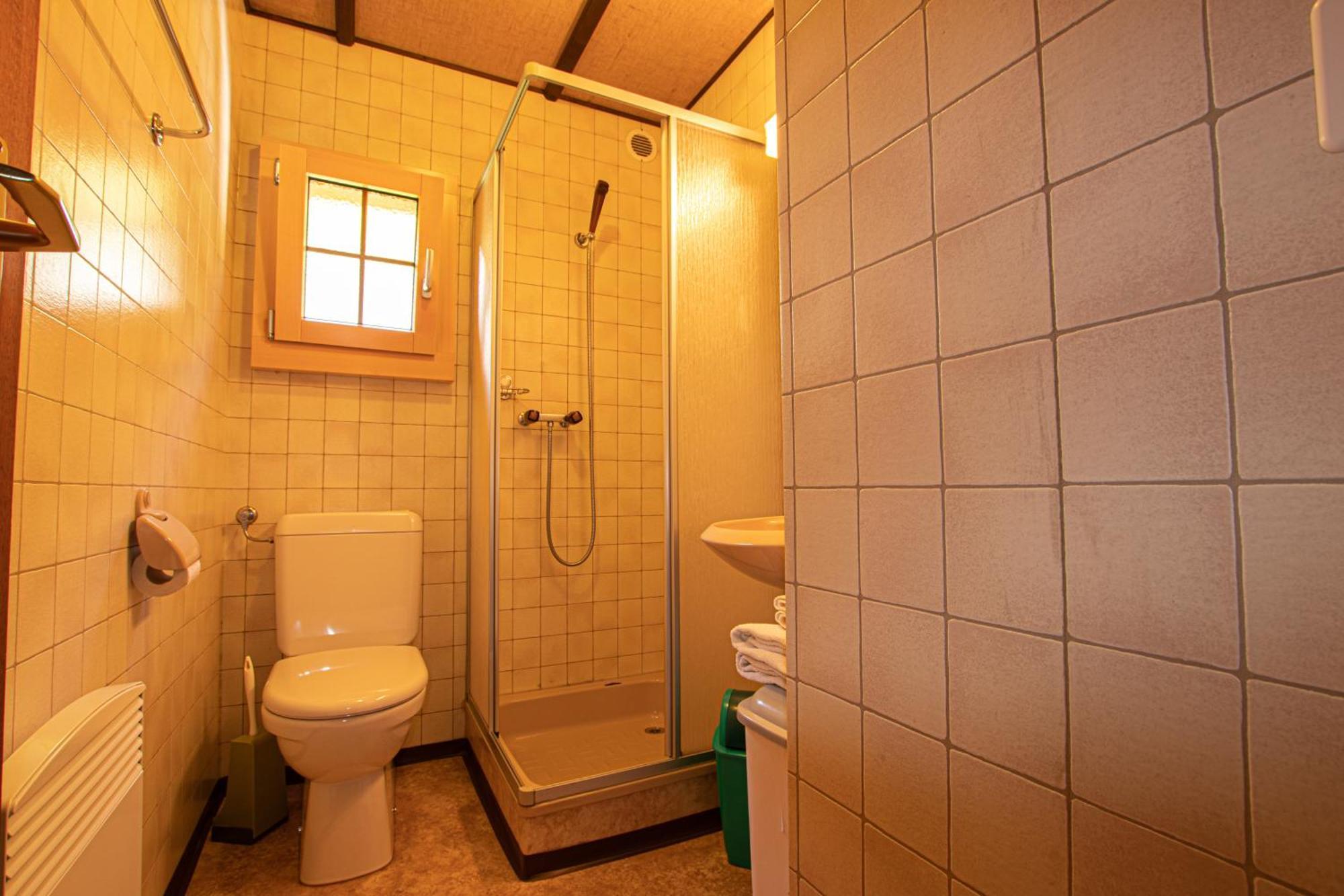 Villa Residenz Edelweiss Saas320 Extérieur photo